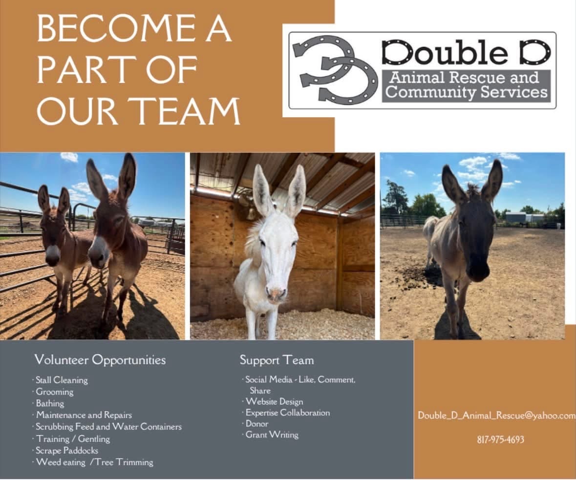 Become a part of our team — Double D Animal Rescue volunteer opportunities and support team roles